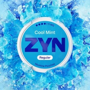 ZYN Cool Mint 9.0mg