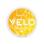 Velo_Mango_Ice_10mg Standardized
